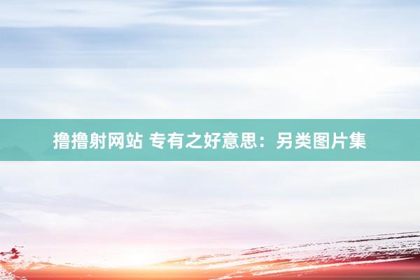 撸撸射网站 专有之好意思：另类图片集
