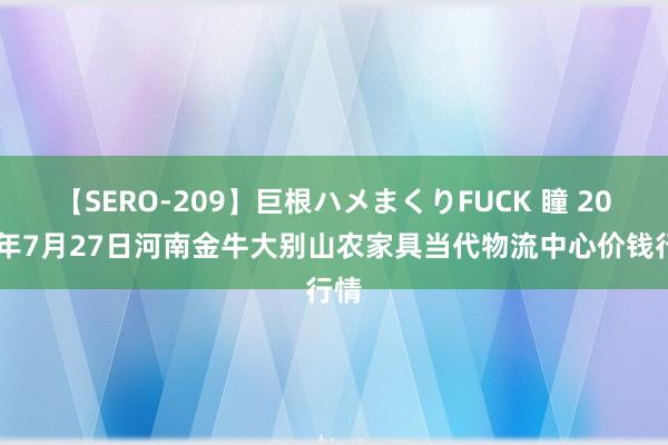 【SERO-209】巨根ハメまくりFUCK 瞳 2024年7月27日河南金牛大别山农家具当代物流中心价钱行情