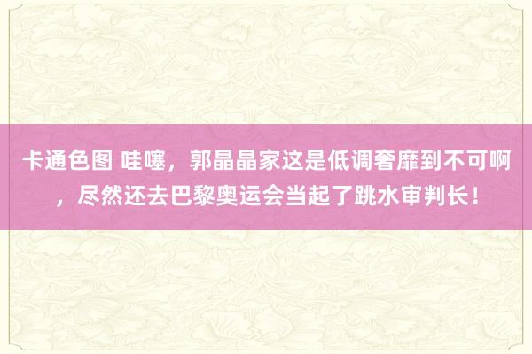 卡通色图 哇噻，郭晶晶家这是低调奢靡到不可啊，尽然还去巴黎奥运会当起了跳水审判长！