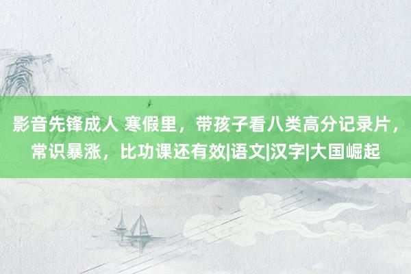 影音先锋成人 寒假里，带孩子看八类高分记录片，常识暴涨，比功课还有效|语文|汉字|大国崛起