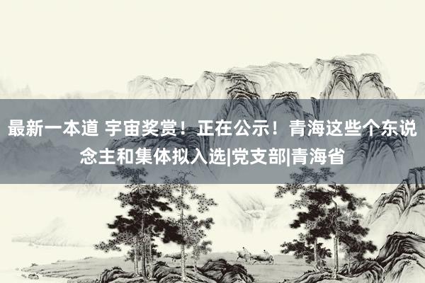 最新一本道 宇宙奖赏！正在公示！青海这些个东说念主和集体拟入选|党支部|青海省