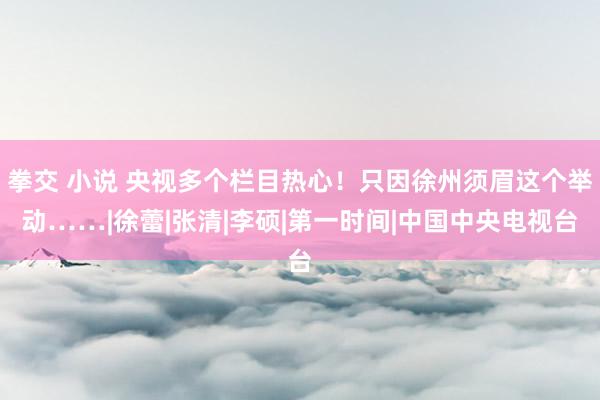 拳交 小说 央视多个栏目热心！只因徐州须眉这个举动……|徐蕾|张清|李硕|第一时间|中国中央电视台