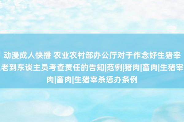 动漫成人快播 农业农村部办公厅对于作念好生猪宰杀兽医卫生老到东谈主员考查责任的告知|范例|猪肉|畜肉|生猪宰杀惩办条例
