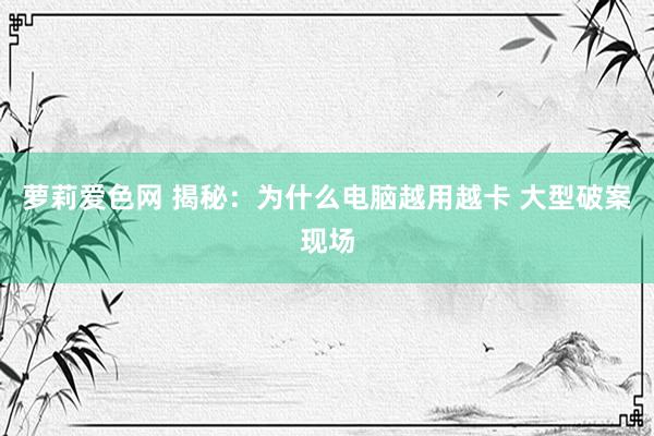 萝莉爱色网 揭秘：为什么电脑越用越卡 大型破案现场
