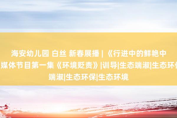 海安幼儿园 白丝 新春展播 | 《行进中的鲜艳中国》全新新媒体节目第一集《环境贬责》|训导|生态端淑|生态环保|生态环境