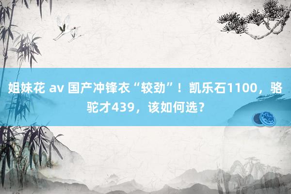 姐妹花 av 国产冲锋衣“较劲”！凯乐石1100，骆驼才439，该如何选？